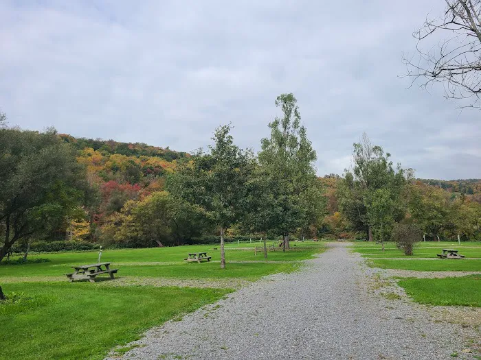Susquehanna Trail Campground Oneonta NY Picture 6