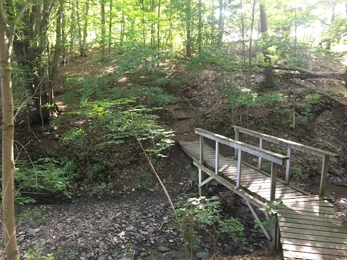 Millbrook Reservoir Picture 10