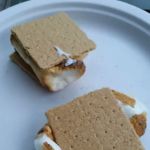 Terry's Shinhopple Campground