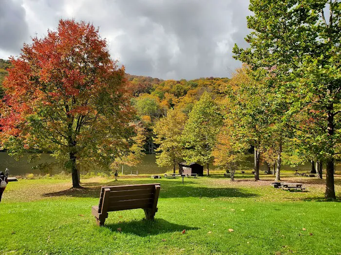 Bear Spring Mountain Campground Picture 7