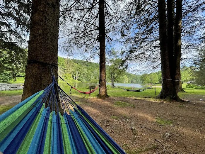 Bear Spring Mountain Campground Picture 10