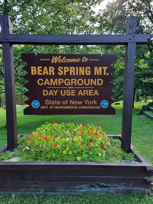Bear Spring Mountain Campground Picture 3