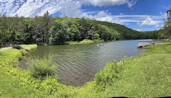 Bear Spring Mountain Campground Picture 9