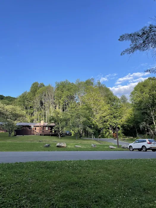 Bear Spring Mountain Campground Picture 8