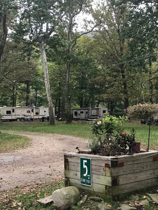 Butternut Grove Campsite Picture 3