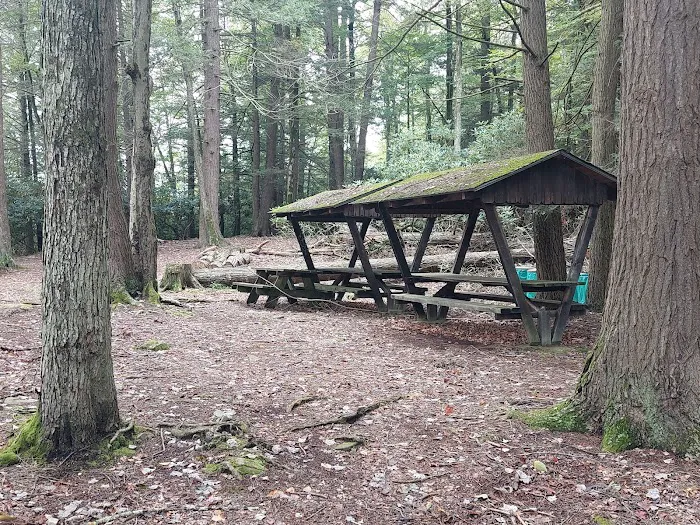 Five Mile Point Group Campground Picture 2