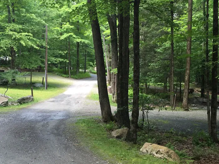 Ledgedale Recreation Area Picture 10