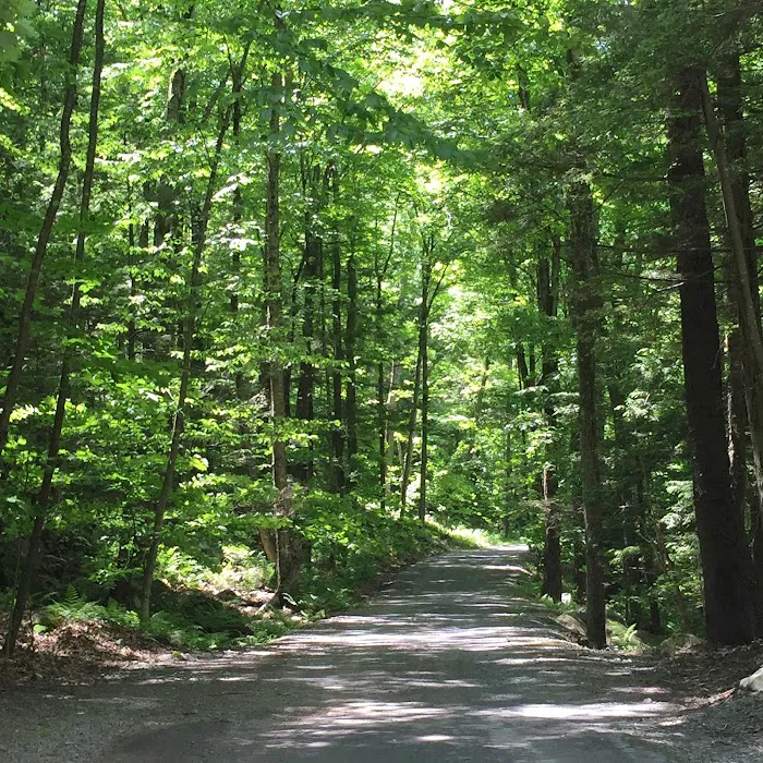 Ledgedale Recreation Area Picture 6