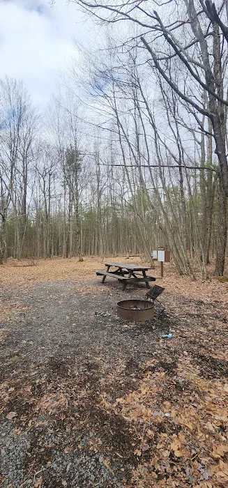 White Deer Campsite Picture 1