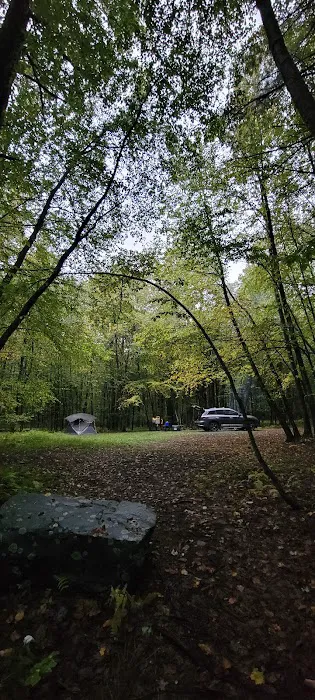 White Deer Campsite Picture 9