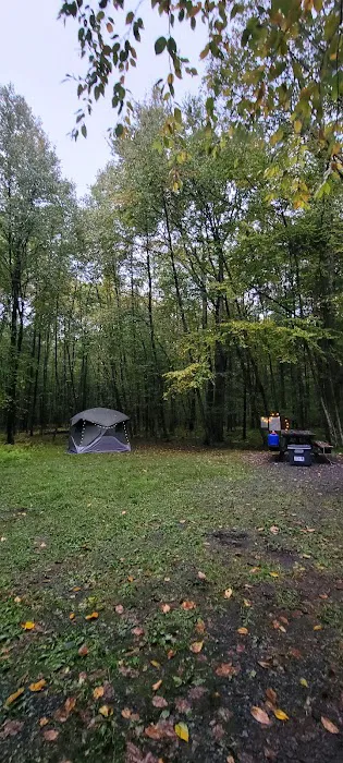 White Deer Campsite Picture 6