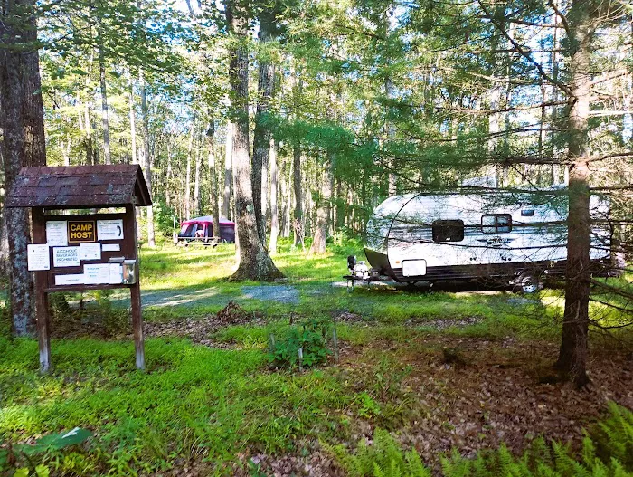 Pines Campground Picture 2