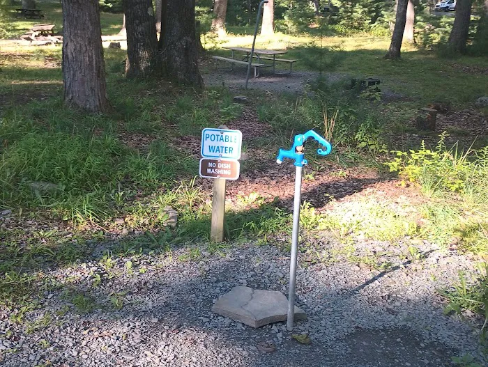 Pines Campground Picture 1