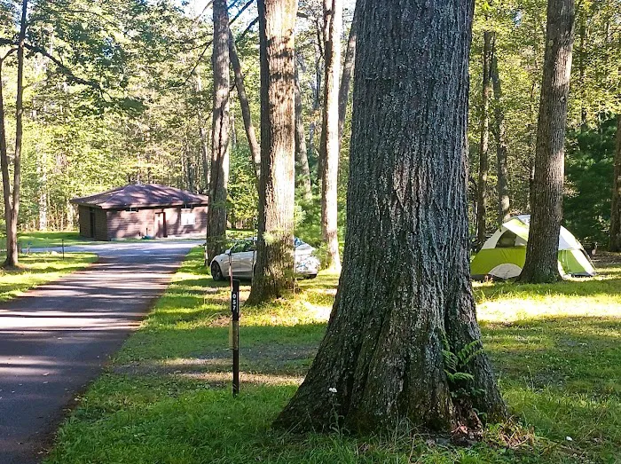 Pines Campground Picture 3