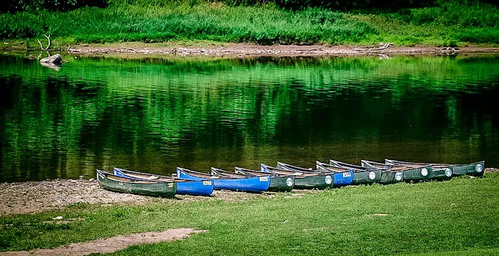 Narrowsburg Campground (Lander's River Trips) Picture 9