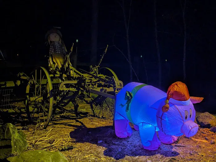 Kamp - Squid Picture 8