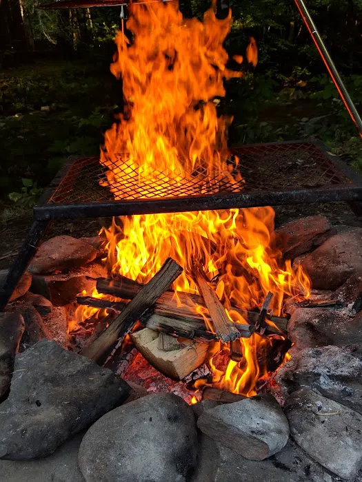 Russell Brook Campsites Picture 1