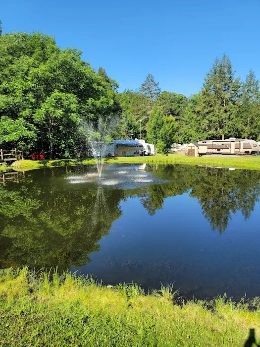 Russell Brook Campsites Picture 6
