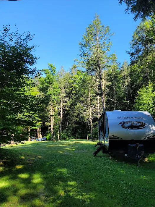 Russell Brook Campsites Picture 7