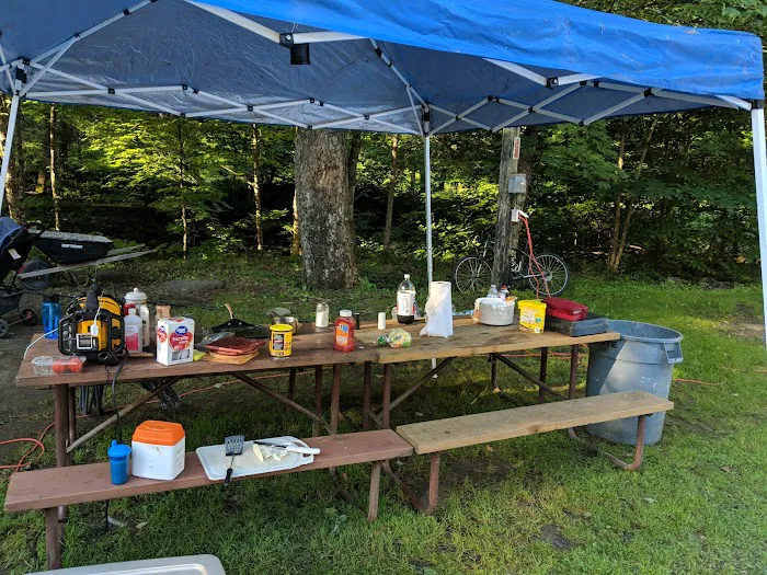 Russell Brook Campsites Picture 10