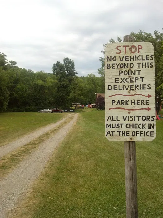 Camp Koinonia NY Picture 5