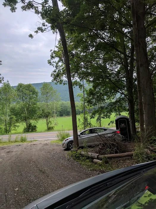 Mountainside Camp Site Picture 6