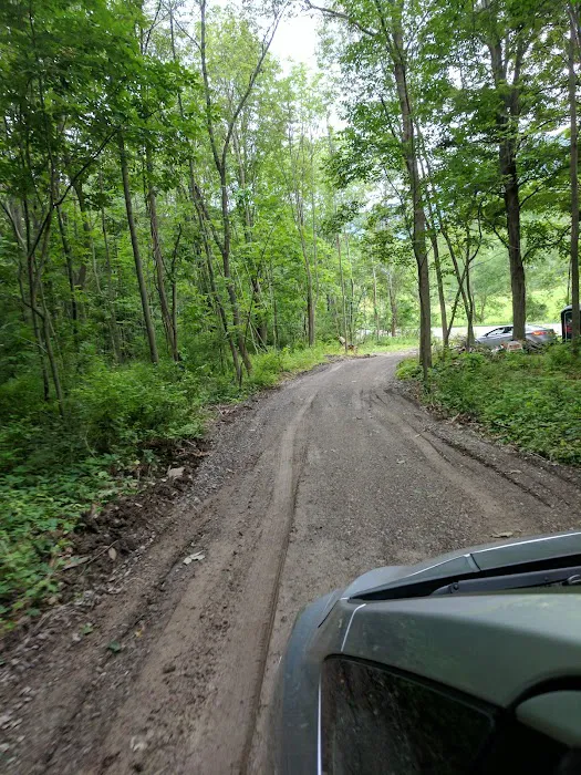 Mountainside Camp Site Picture 7