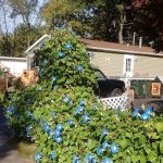 Penfield Trailer Court Inc