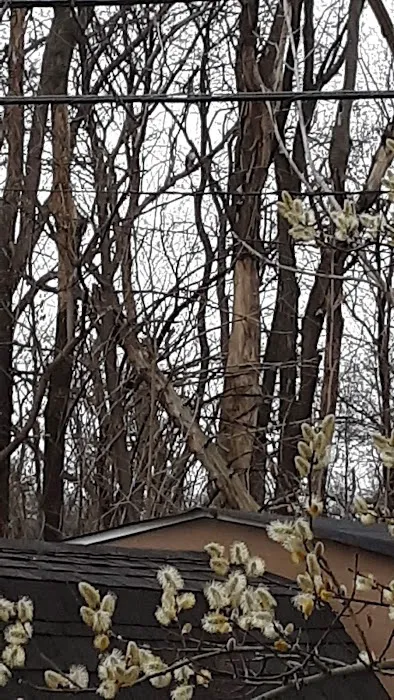 Penfield Trailer Court Inc Picture 2