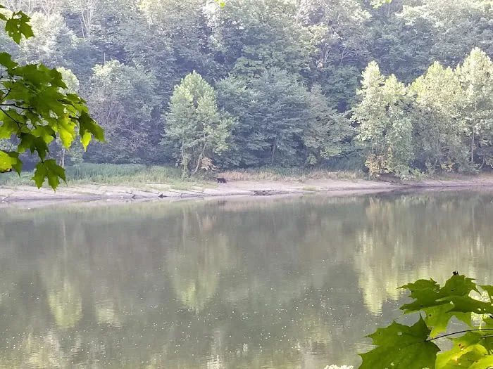 MC-2 River Campsite Picture 2