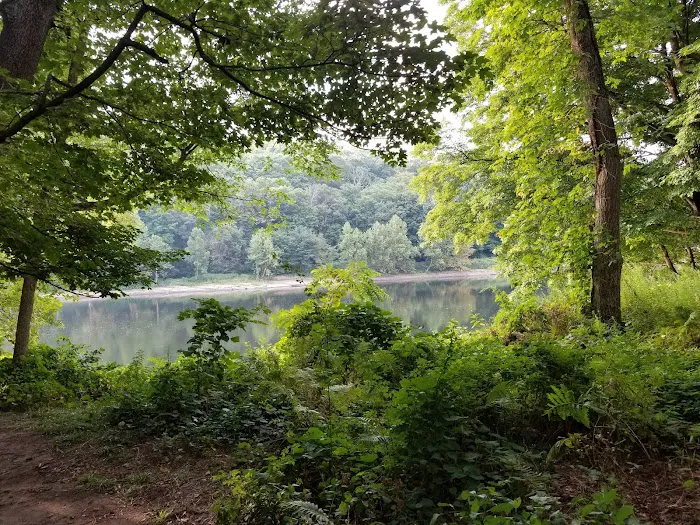 MC-2 River Campsite Picture 1