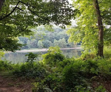 MC-2 River Campsite