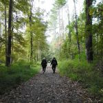 National Park Service - Delaware River - Jerry Lees - Campsites # 33-34