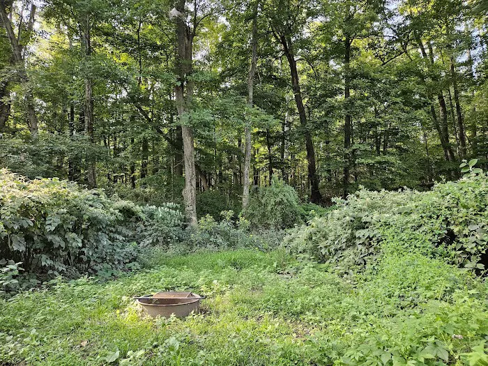 National Park Service - Delaware River - Jerry Lees - Campsites # 33-34 Picture 9