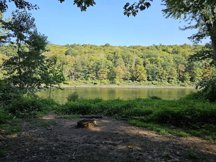 National Park Service - Delaware River - Jerry Lees - Campsites # 33-34 Picture 5