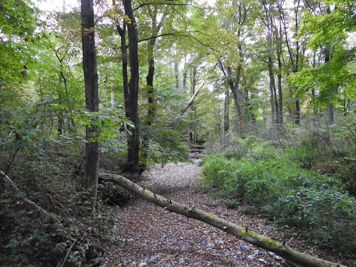 National Park Service - Delaware River - Jerry Lees - Campsites # 33-34 Picture 10