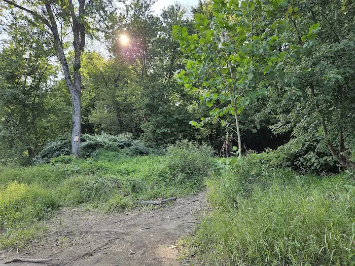 National Park Service - Delaware River - Jerry Lees - Campsites # 33-34 Picture 8