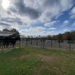 Pure Country Campground