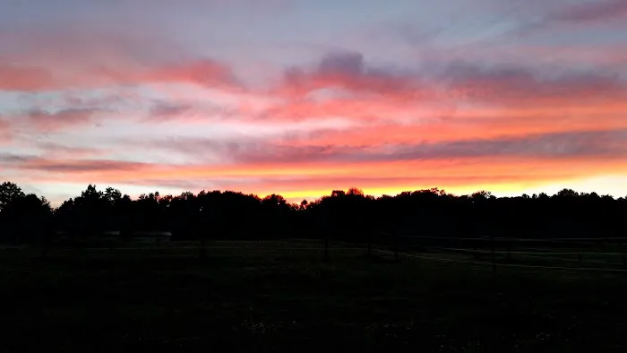 Pure Country Campground Picture 8