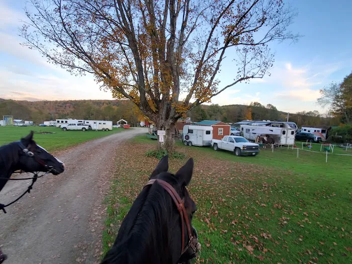 Pure Country Campground Picture 6