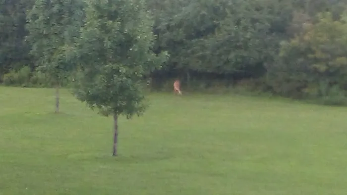 Sherburne Mobile Park Picture 3