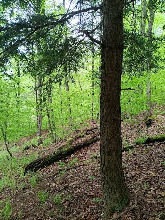 Alfheim Botanical LLC Picture 2