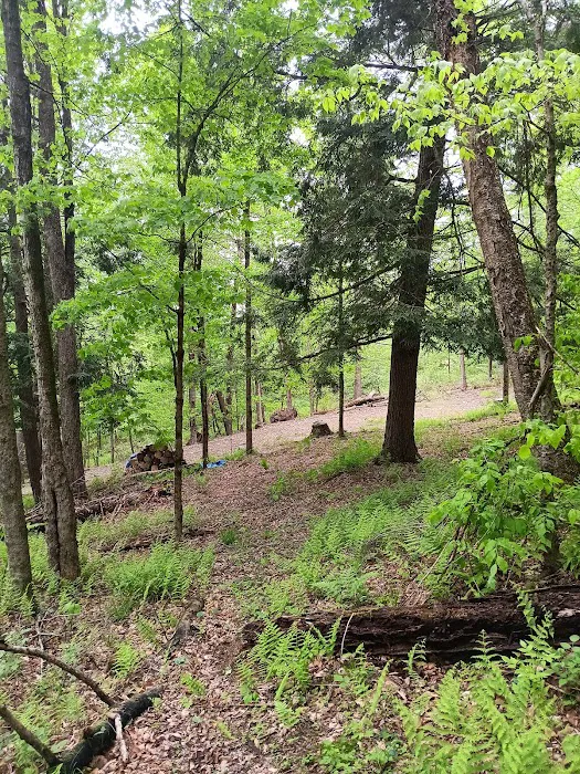 Alfheim Botanical LLC Picture 4