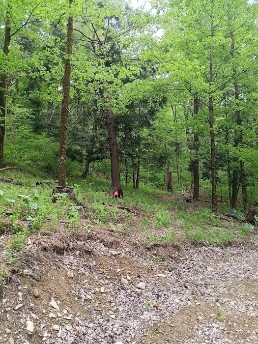 Alfheim Botanical LLC Picture 8
