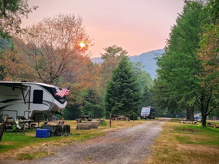 Beaverkill Campground Picture 6