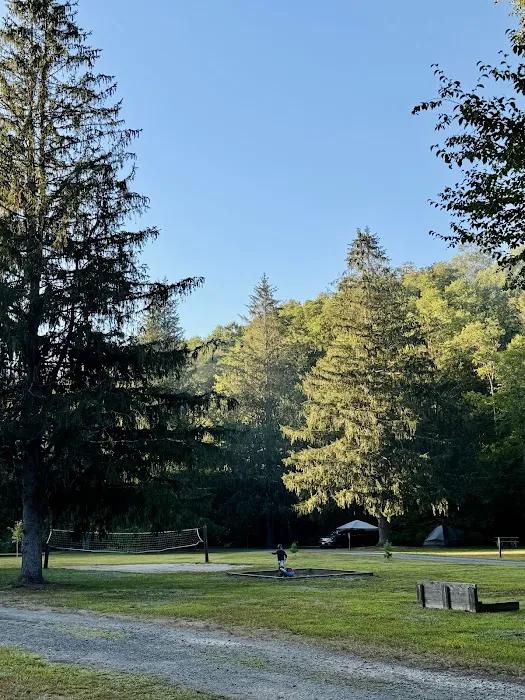 Beaverkill Campground Picture 9