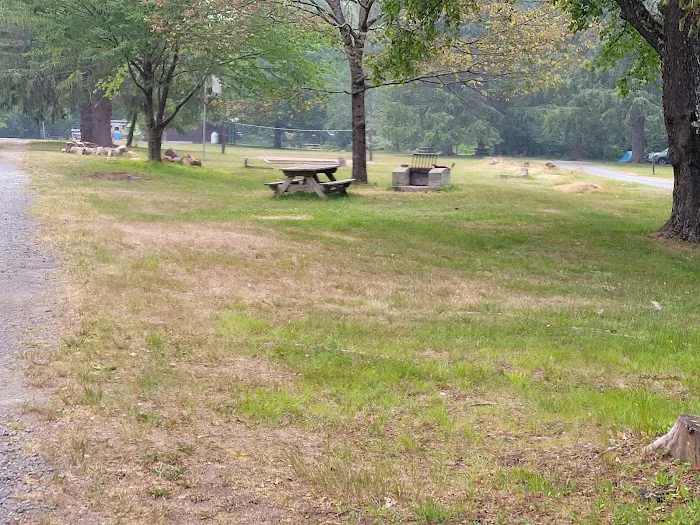 Beaverkill Campground Picture 4