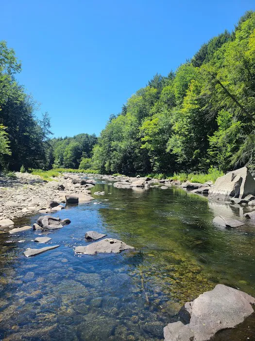 Beaverkill Campground Picture 7