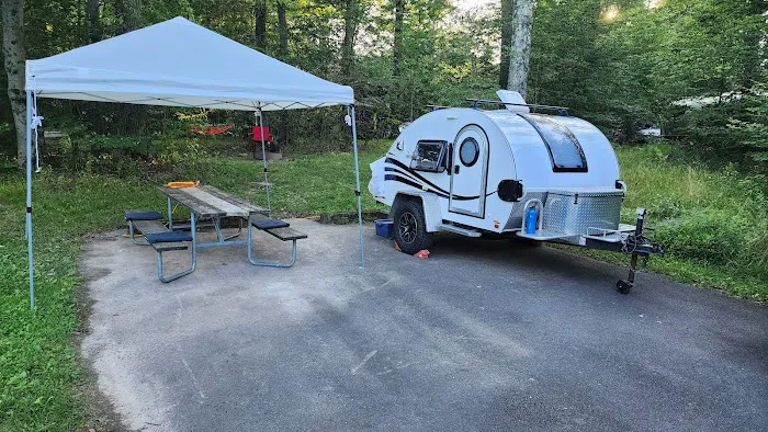 Promised Land State Park Beechwood Camping Area Picture 2