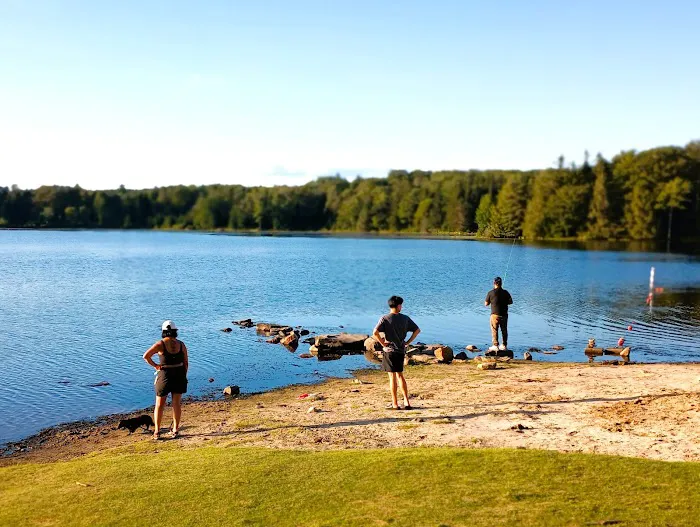 Pickerel Point Campground Picture 6